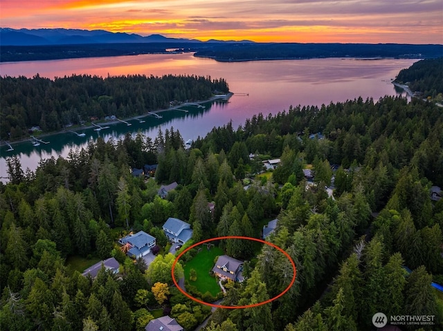 6570 Cedar Glade Ln, Bainbridge Island, WA 98110 - aerial view at dusk of a wooded view and a water and mountain view