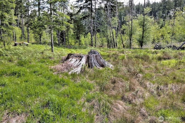0 NE Cheyanne Hill Dr, Belfair, WA 98588