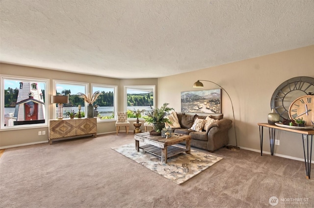 293 State Route 409, Cathlamet, WA 98612 - living room with a textured ceiling, carpet floors, and baseboards
