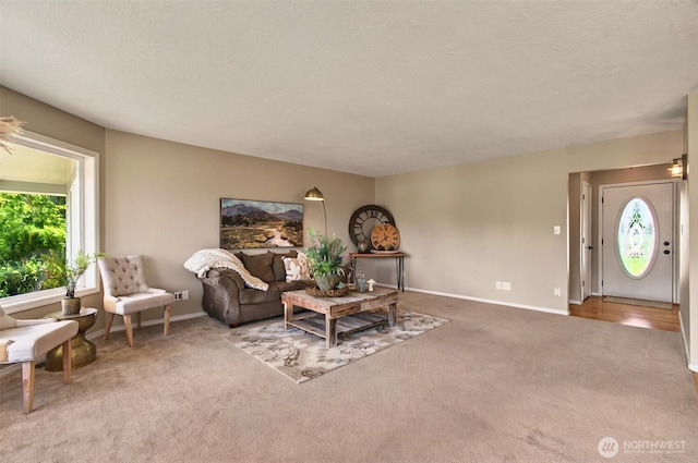 293 State Route 409, Cathlamet, WA 98612 - living room with carpet, baseboards, and a textured ceiling