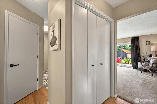 293 State Route 409, Cathlamet, WA 98612 - hall with a textured ceiling and light wood-type flooring