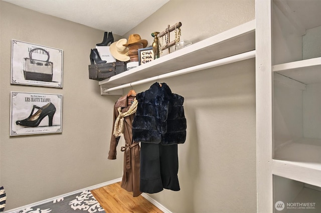 293 State Route 409, Cathlamet, WA 98612 - walk in closet featuring wood finished floors