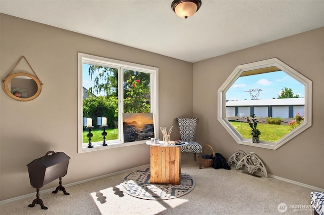 293 State Route 409, Cathlamet, WA 98612 - sitting room with carpet floors and baseboards