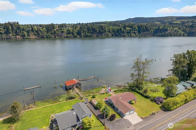 293 State Route 409, Cathlamet, WA 98612 - drone / aerial view of a large body of water and a heavily wooded area