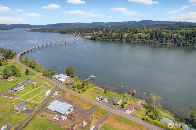 293 State Route 409, Cathlamet, WA 98612 - bird's eye view of a water and mountain view and a heavily wooded area