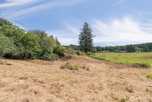 1908 W State Route 4 Unit 1, Skamokawa, WA 98647 - view of undeveloped land featuring rural landscape