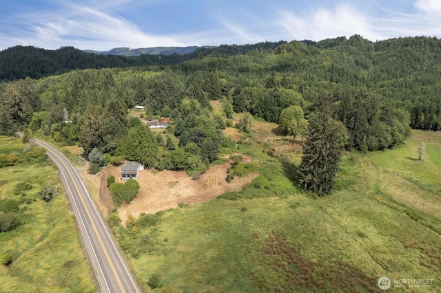 1908 W State Route 4 Unit 1, Skamokawa, WA 98647 - aerial view of property and surrounding area with a forest and a mountain backdrop