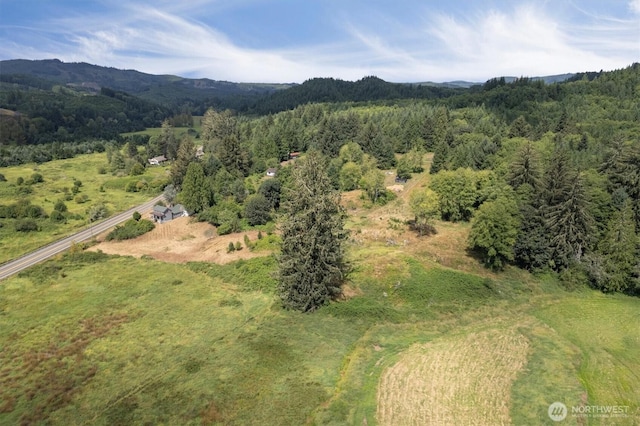 1908 W State Route 4 Unit 1, Skamokawa, WA 98647 - bird's eye view of a mountain backdrop and a forest