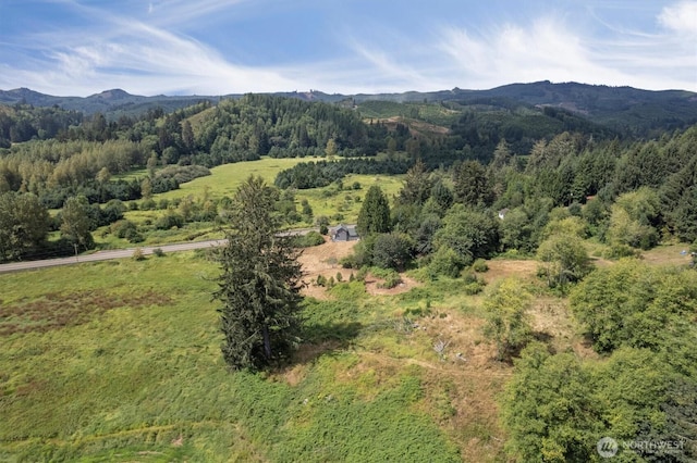 1908 W State Route 4 Unit 1, Skamokawa, WA 98647 - mountain view with a forest