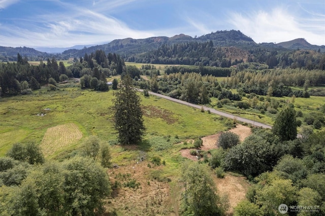 1908 W State Route 4 Unit 1, Skamokawa, WA 98647 - view of mountain backdrop