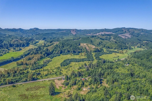 1929 W State Route 4, Skamokawa, WA 98647