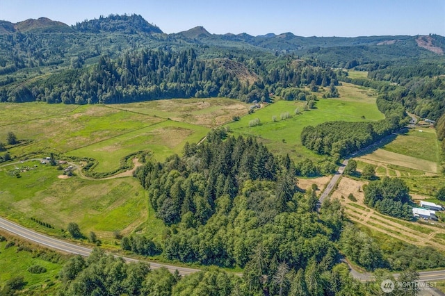 1929 W State Route 4, Skamokawa, WA 98647