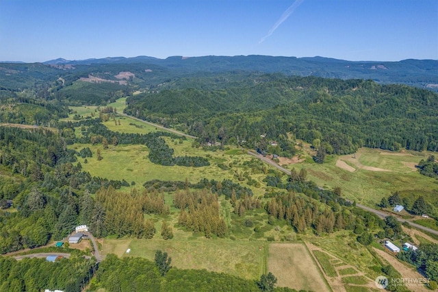 1929 W State Route 4, Skamokawa, WA 98647