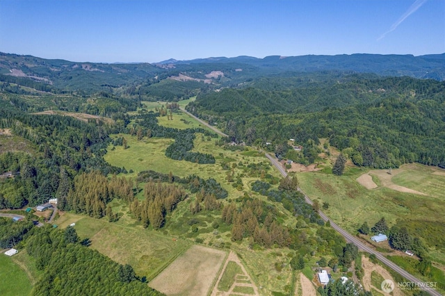 1929 W State Route 4, Skamokawa, WA 98647