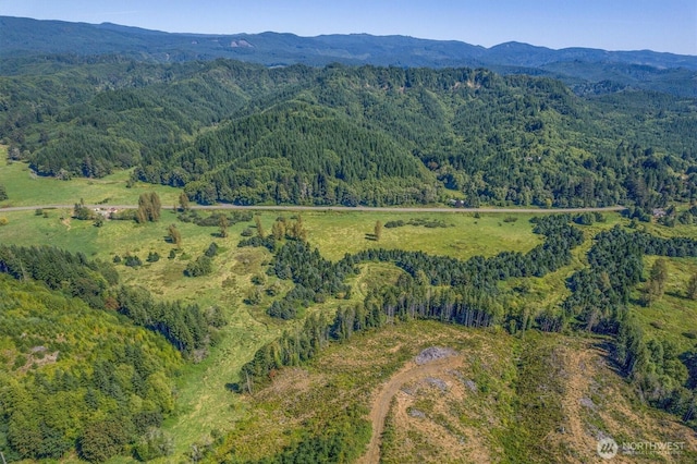 1929 W State Route 4, Skamokawa, WA 98647