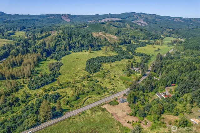 1929 W State Route 4, Skamokawa, WA 98647
