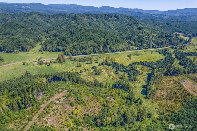 1929 W State Route 4, Skamokawa, WA 98647