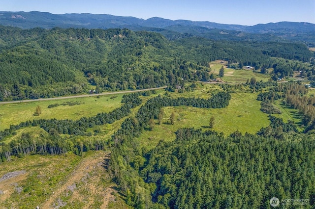 1929 W State Route 4, Skamokawa, WA 98647