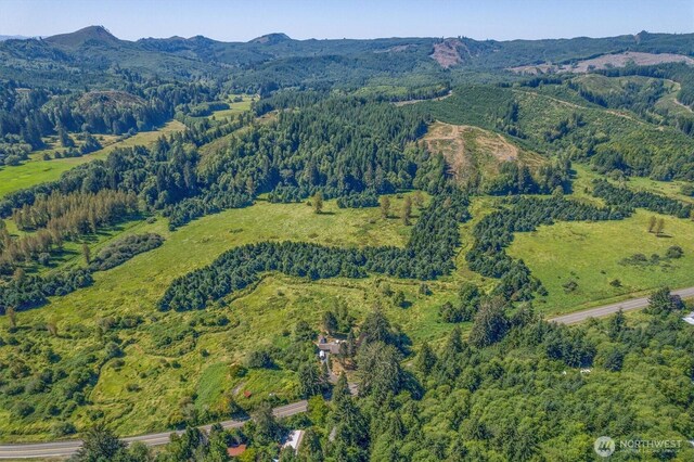 1929 W State Route 4, Skamokawa, WA 98647