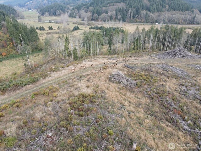 1929 W State Route 4, Skamokawa, WA 98647