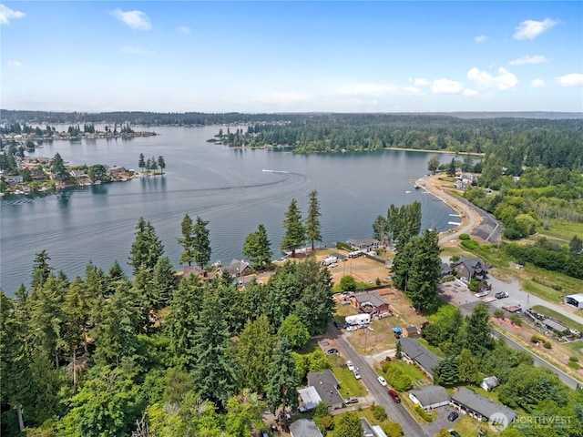 21217 23rd Street Ct E, Lake Tapps, WA 98391 - photo 23