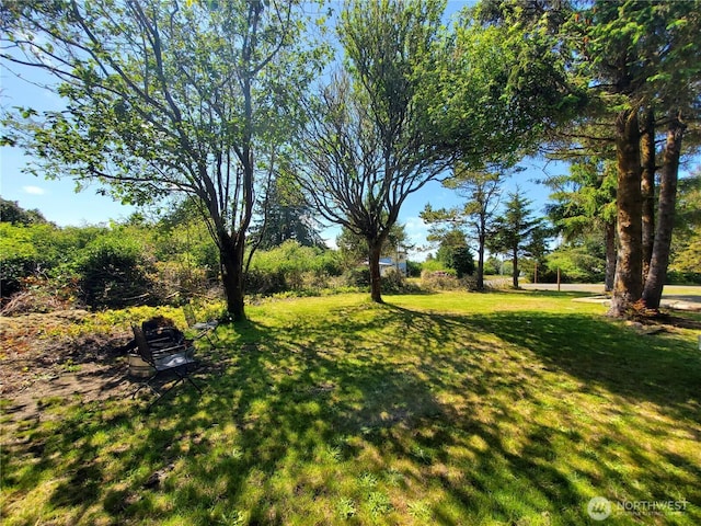 248 Ensign Ave NW, Ocean Shores, WA 98569 - view of green lawn