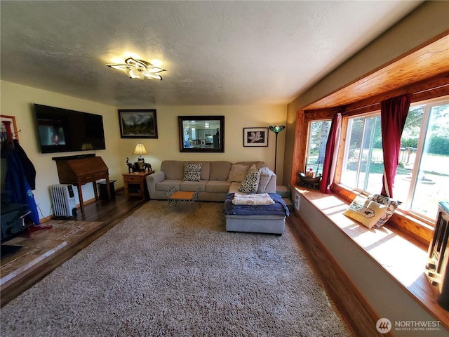 248 Ensign Ave NW, Ocean Shores, WA 98569 - living area featuring baseboards