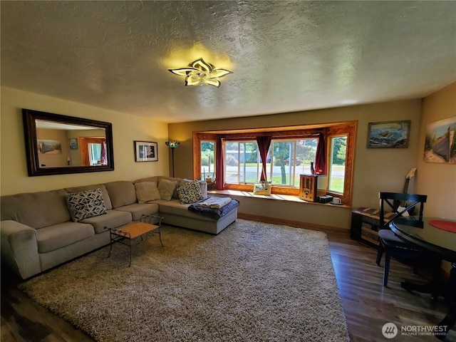 248 Ensign Ave NW, Ocean Shores, WA 98569 - living room with wood finished floors and a textured ceiling