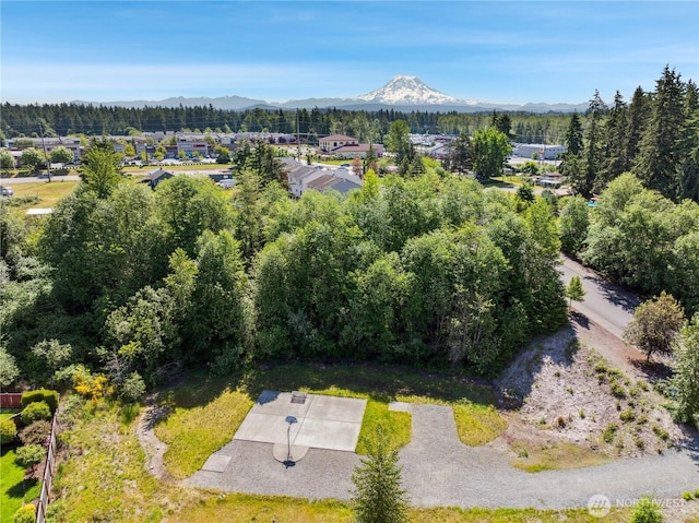 9831 198th St E, Graham, WA 98338 - bird's eye view of a mountain backdrop