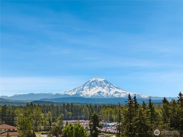 9831 198th St E, Graham, WA 98338 - view of mountain background featuring a heavily wooded area