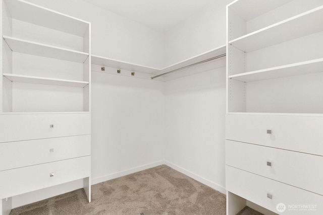 8337 14th Ave NW Unit A, Seattle, WA 98117 - spacious closet featuring carpet flooring