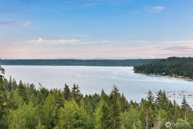 14647 NW Honeyhill Loop, Seabeck, WA 98380 - water view with a forest