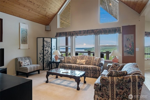 14647 NW Honeyhill Loop, Seabeck, WA 98380 - living area with carpet floors, healthy amount of natural light, wooden ceiling, and high vaulted ceiling
