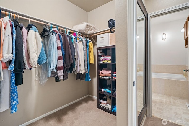 14647 NW Honeyhill Loop, Seabeck, WA 98380 - spacious closet featuring carpet flooring