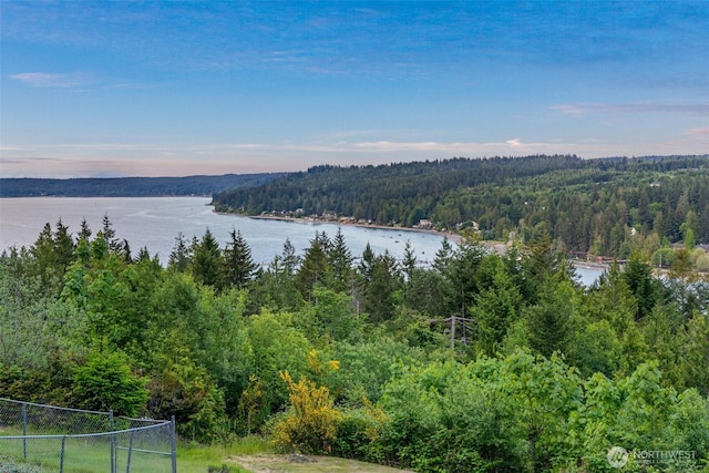 14647 NW Honeyhill Loop, Seabeck, WA 98380 - water view with a heavily wooded area
