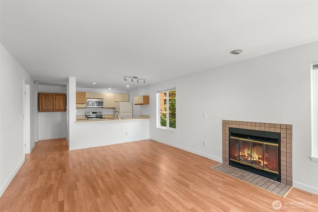 10329 Meridian Ave N Unit A201, Seattle, WA 98133 - unfurnished living room with light wood finished floors, a fireplace, baseboards, and a sink