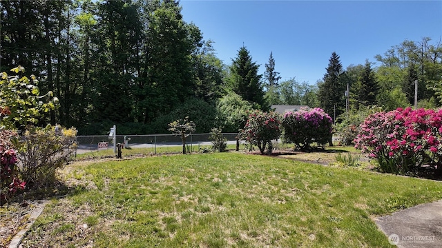 22665 Mosier Rd, Sedro Woolley, WA 98284 - view of yard