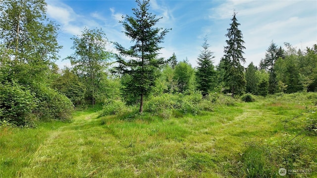 22665 Mosier Rd, Sedro Woolley, WA 98284 - view of tree filled area