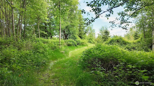 22665 Mosier Rd, Sedro Woolley, WA 98284 - view of local wilderness