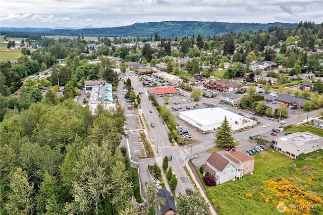14525 1st Ln NE Unit C, Duvall, WA 98019 - drone / aerial view of a mountainous background