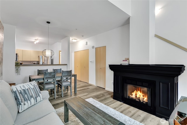 14525 1st Ln NE Unit C, Duvall, WA 98019 - living area featuring light wood-style floors and a glass covered fireplace
