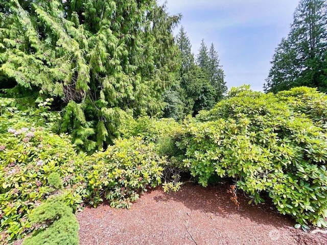 107 Pueblo Hts, Mount Vernon, WA 98273 - photo 4