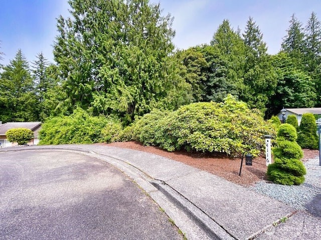 107 Pueblo Hts, Mount Vernon, WA 98273 - photo 5