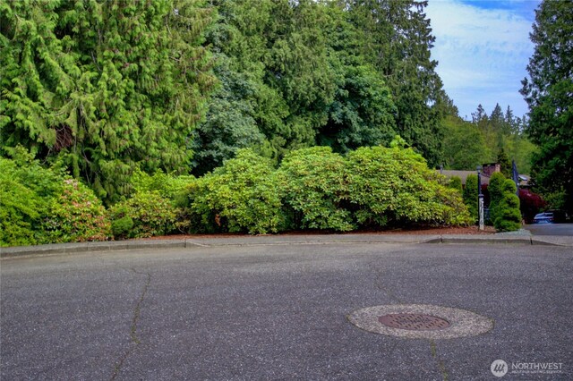 107 Pueblo Hts, Mount Vernon, WA 98273 - photo 6
