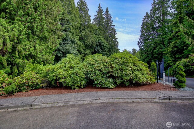 107 Pueblo Hts, Mount Vernon, WA 98273 - photo 9