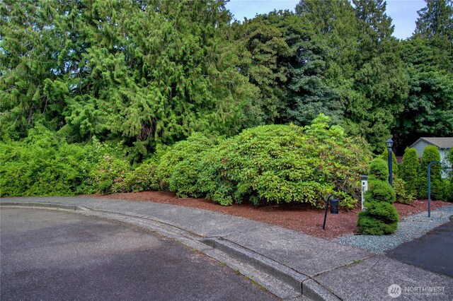 107 Pueblo Hts, Mount Vernon, WA 98273 - photo 11