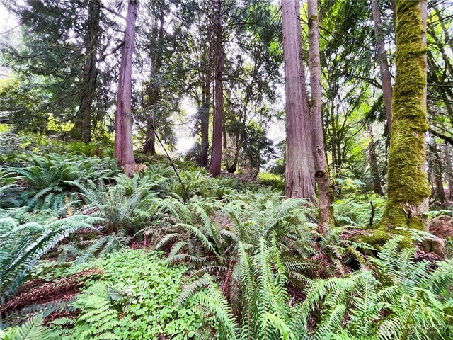 107 Pueblo Hts, Mount Vernon, WA 98273 - photo 13