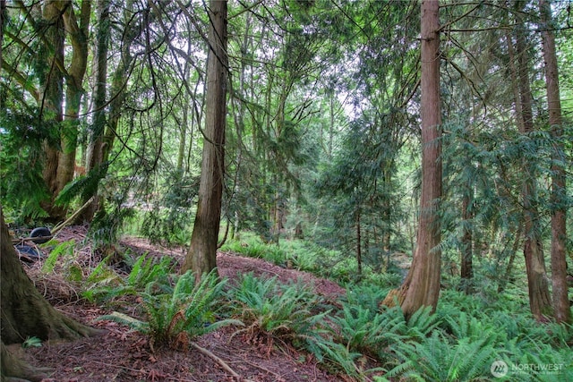 107 Pueblo Hts, Mount Vernon, WA 98273 - photo 16