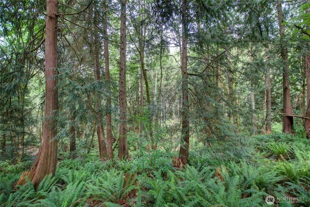 107 Pueblo Hts, Mount Vernon, WA 98273 - photo 17