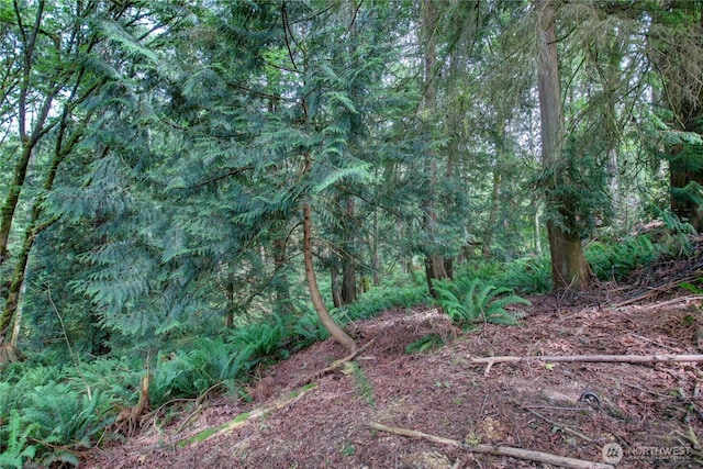 107 Pueblo Hts, Mount Vernon, WA 98273 - photo 19